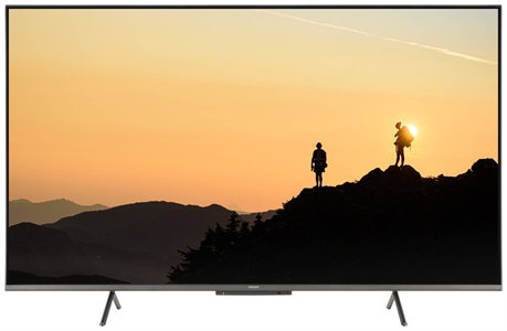 PHILIPS 55PUS8118/12