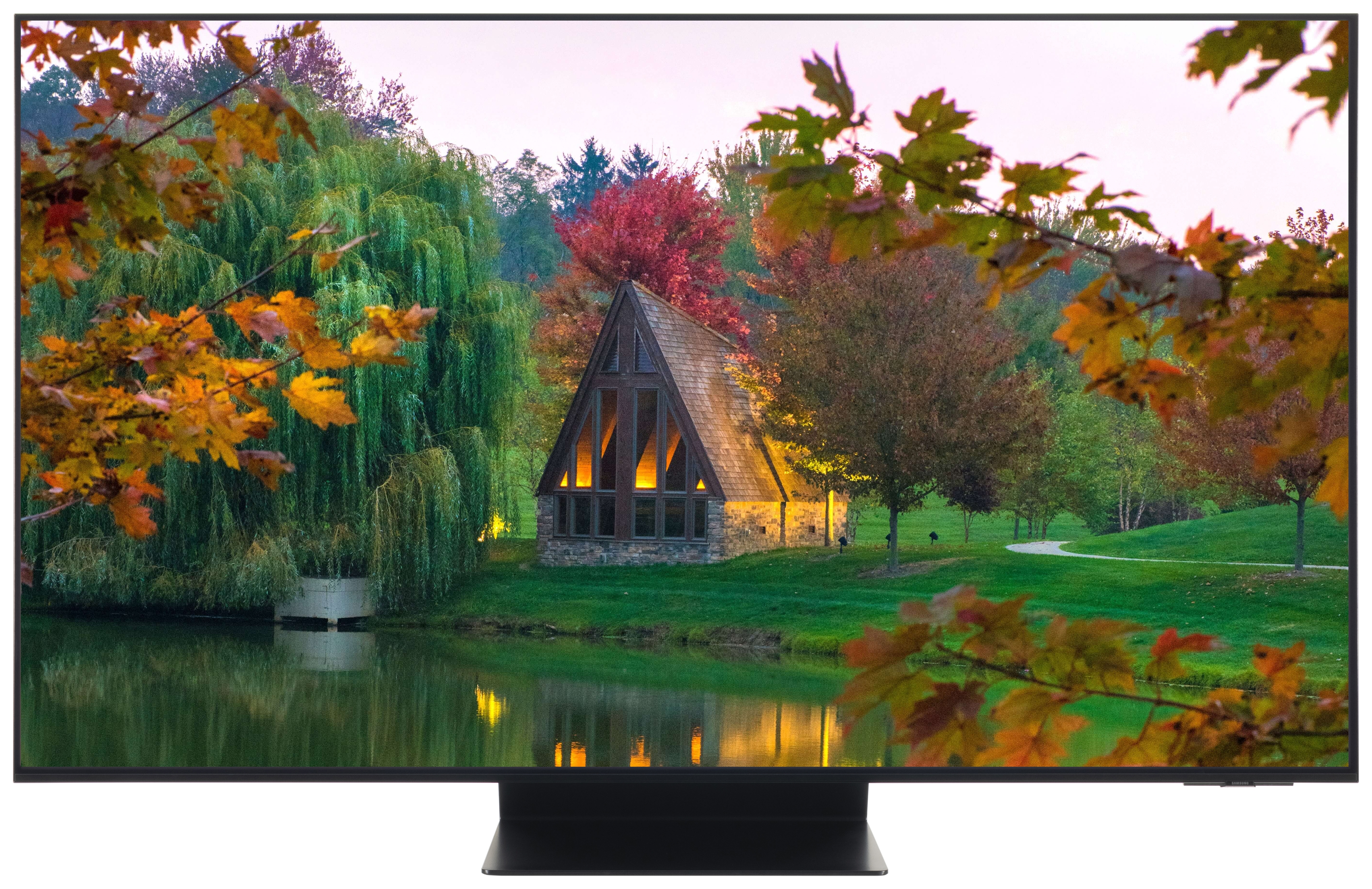 SAMSUNG TQ55S95D