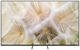 SAMSUNG MRE55R85HAUXXU