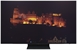 SAMSUNG TQ55S94H