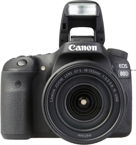 CANON EOS 80D + EF-S 18-55MM 1:3.5-5.6 IS STM