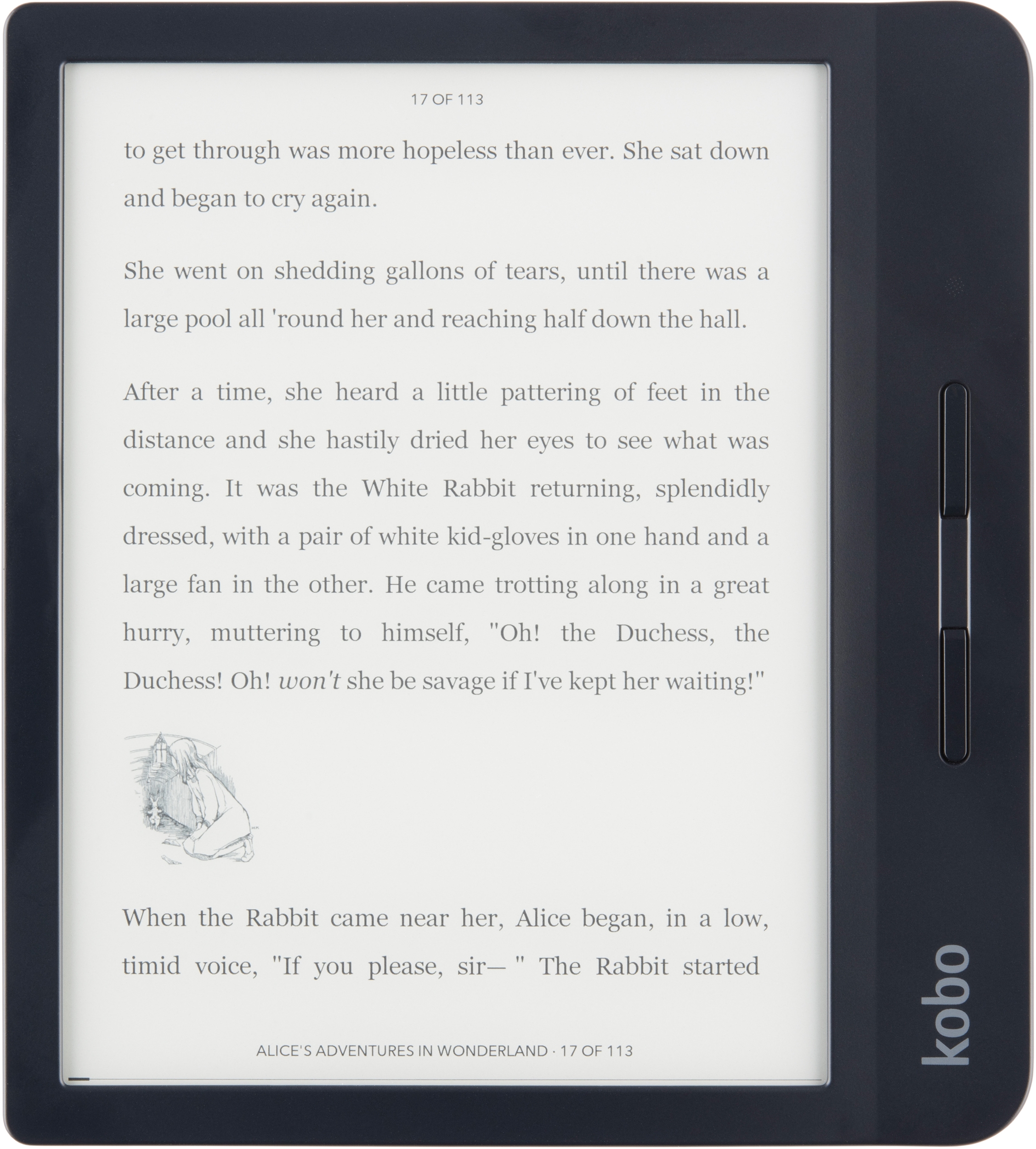 KOBO LIBRA H2O