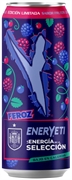 ENERYETI FEROZ
