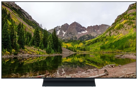 LG OLED55C5ELB