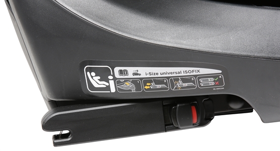 JOIE CALMI + IBASE ENCORE