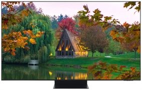 SAMSUNG QE65S95F