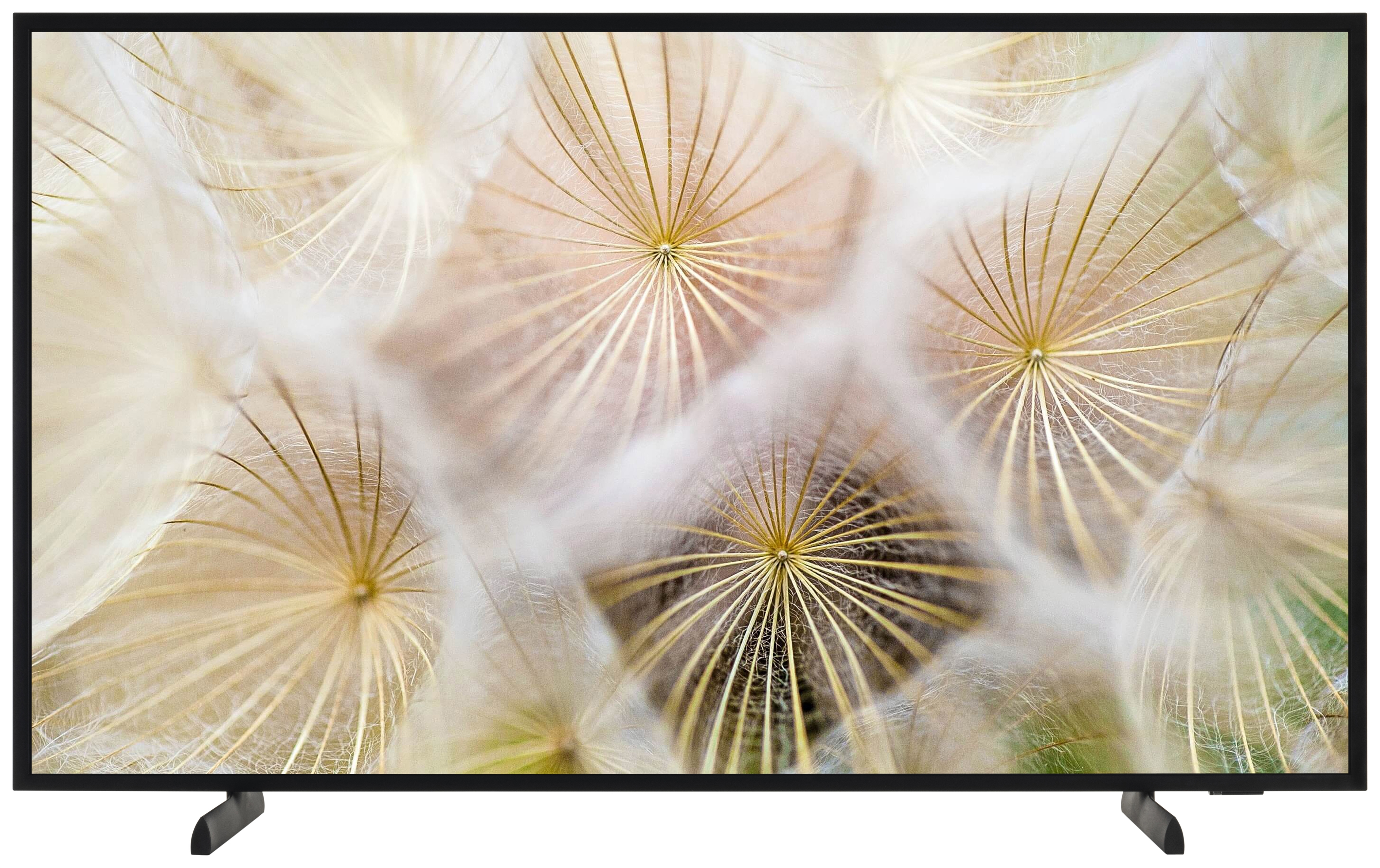 SAMSUNG TQ43LS03B