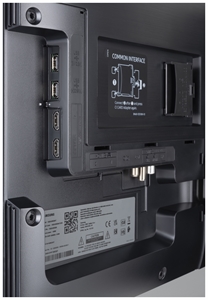 SAMSUNG QE55S95B